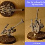 LadyRaven - Eldar Surveillance Platform